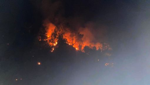  Laçin ilçesindeki orman yangını, 5 saatte söndürüldü 2