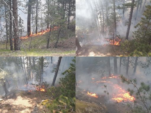  Orman yangını korkuttu 1