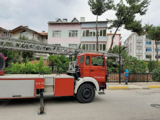  Osmancık  Belediyesi tehlik 10e arz eden ağaçlar İçin önlem alıyor