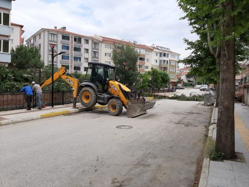 Osmancık  Belediyesi tehlike arz eden ağaçlar İçin önlem alıyor 6
