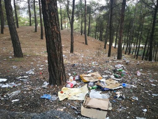  Osmancık Belediyesi Düztepe Çamlık Piknik Alanını temizledi 12