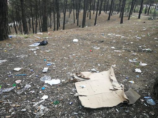  Osmancık Belediyesi Düztepe Çamlık Piknik Alanını temizledi 13