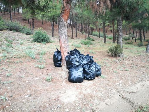  Osmancık Belediyesi Düztepe Çamlık Piknik Alanını temizledi 20