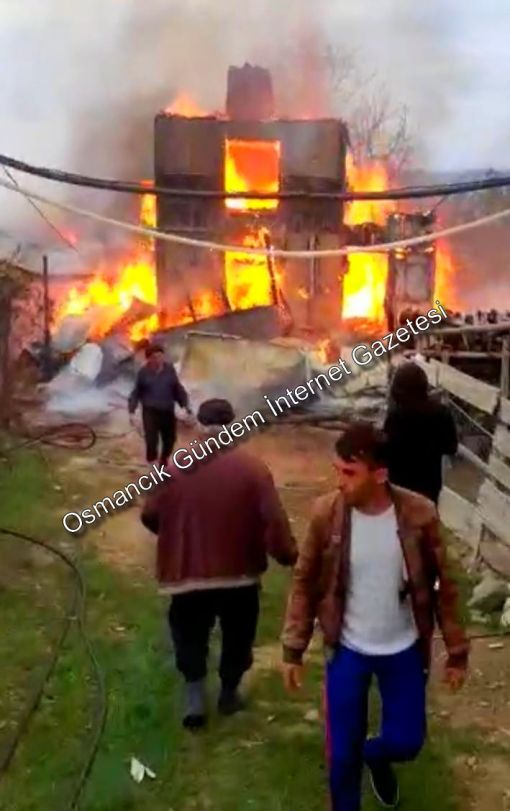  Osmancık'ta çıkan yangında 2 ev tamamen yandı
