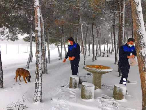 Osmancık'ta karlı bir  kış günü sokak hayvanlarını unutulmadı 2