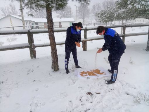 Osmancık'ta karlı bir  kış günü sokak hayvanlarını unutulmadı 3