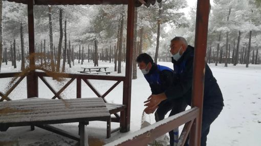 Osmancık'ta karlı bir  kış günü sokak hayvanlarını unutulmadı 4