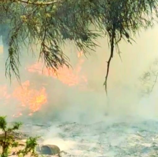 Osmancık'ta orman yangını 9