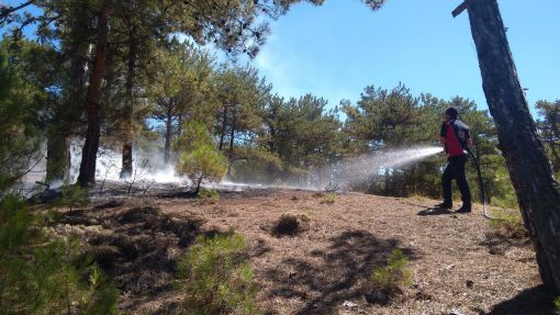  Osmancık'ta orman yangını korkuttu 10