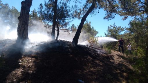  Osmancık'ta orman yangını korkuttu 11