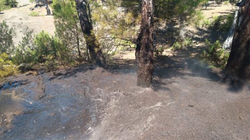  Osmancık'ta orman yangını korkuttu 14