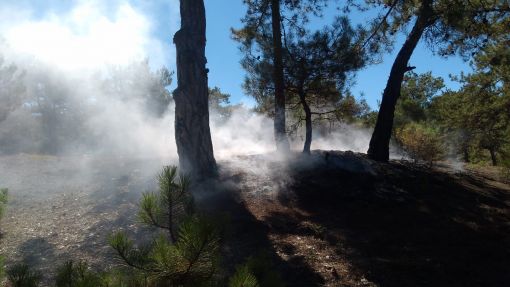  Osmancık'ta orman yangını korkuttu 2
