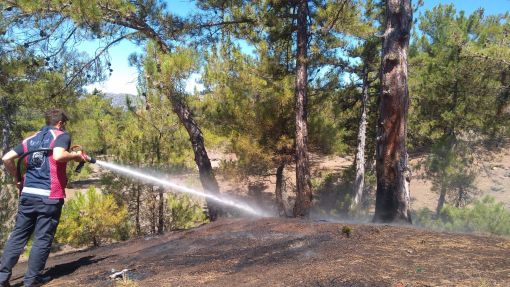  Osmancık'ta orman yangını korkuttu 4