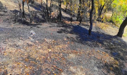 Osmancık'ta ormanlık alanda çıkan yangın korkuttu