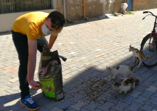  Osmancık'ta sokak hayvanları için yardım kampanyası 1