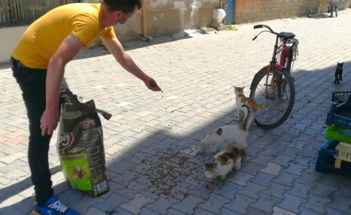  Osmancık'ta sokak hayvanları için yardım kampanyası 7