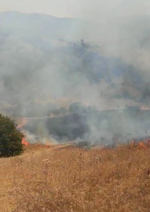  Osmancık'ta çıkan anız yangını 4 saatte söndürüldü 5