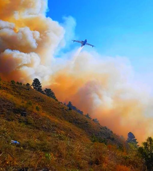  Sinop-Çorum arasındaki orman yangını kontrol altına alındı 2