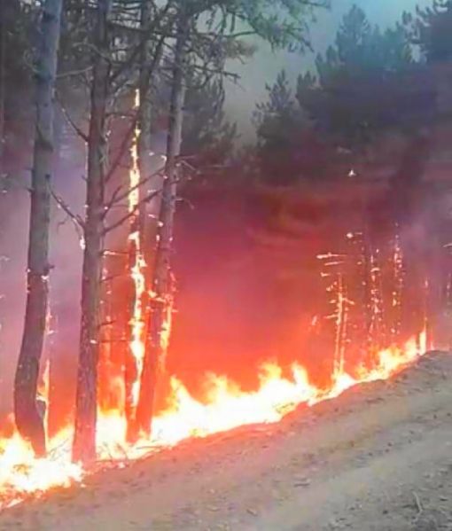  Sinop-Çorum arasındaki orman yangını kontrol altına alındı 4