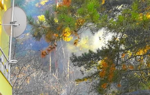  Tarihi kaledeki çam ağaçlarının yanmasını polis önledi 