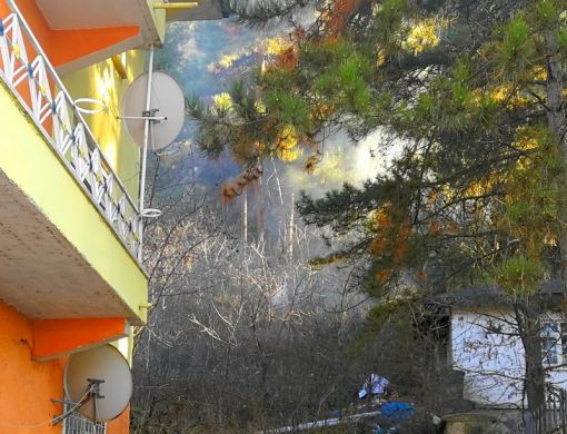  Tarihi kaledeki çam ağaçlarının yanmasını polis önledi 4