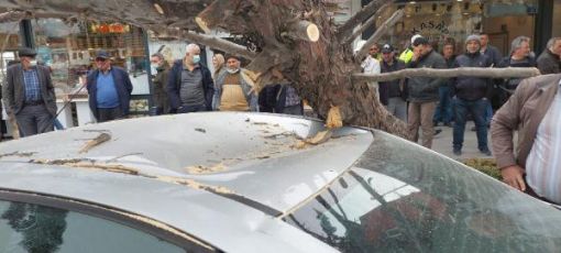  Fırtınada devrilen ağaç otomobilin üzerine düştü 1