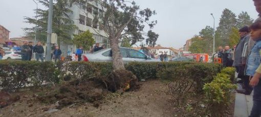  Fırtınada devrilen ağaç otomobilin üzerine düştü 2