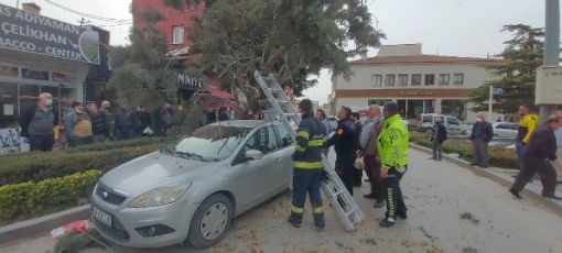  Fırtınada devrilen ağaç otomobilin üzerine düştü 3