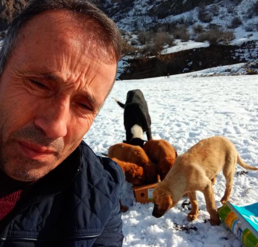  Osmancık Belediyesinden kimsesiz hayvanlara mama ve yem 2