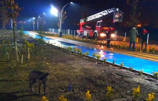  Kızılırmak’a düşerek beton duvarlardan çıkamayan sokak köpeği kurtarıldı 4