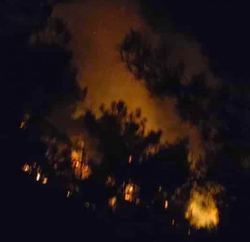  Laçin ilçesindeki orman yangını, 5 saatte söndürüldü 3