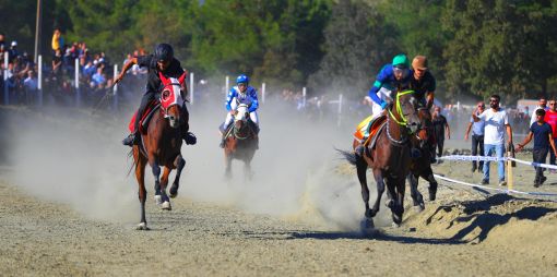  Osmancık Pirinç Festivalinde atlar kıyasıya yarıştı 12