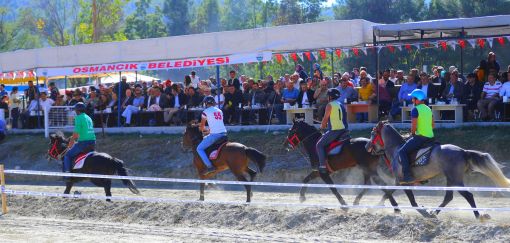 Osmancık Pirinç Festivalinde atlar kıyasıya yarıştı 2
