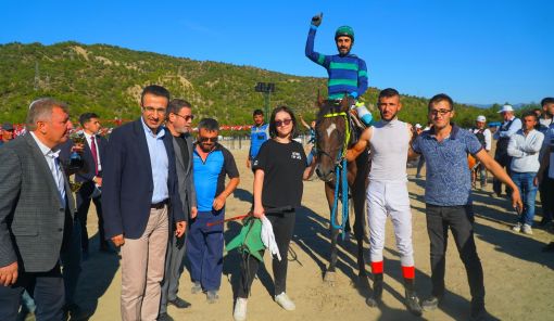  Osmancık Pirinç Festivalinde atlar kıyasıya yarıştı 26