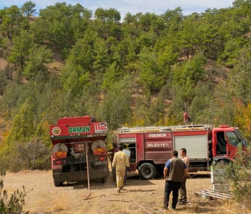  Osmancık'ta orman yangını 6