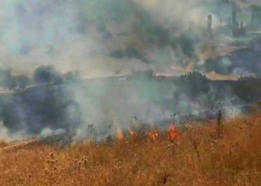  Osmancık'ta çıkan anız yangını 4 saatte söndürüldü 11