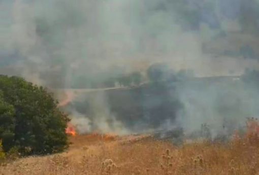  Osmancık'ta çıkan anız yangını 4 saatte söndürüldü 3