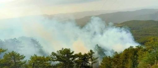 Osmancık Tepeyolaltı köyünde orman yangını 7