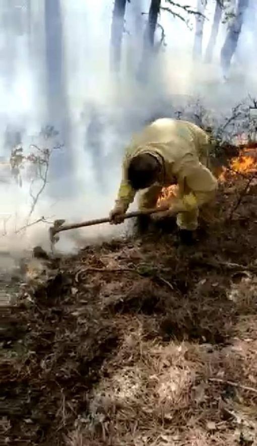  Osmancık Tepeyolaltı köyünde orman yangını 8