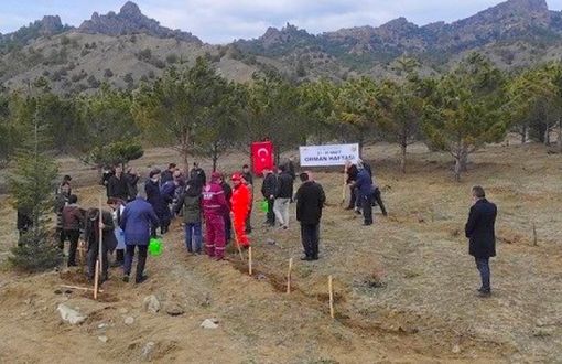  Osmancık’ta 21- 26 Mart Dünya Ormancılık Haftası fidan dikilerek kutlandı 5