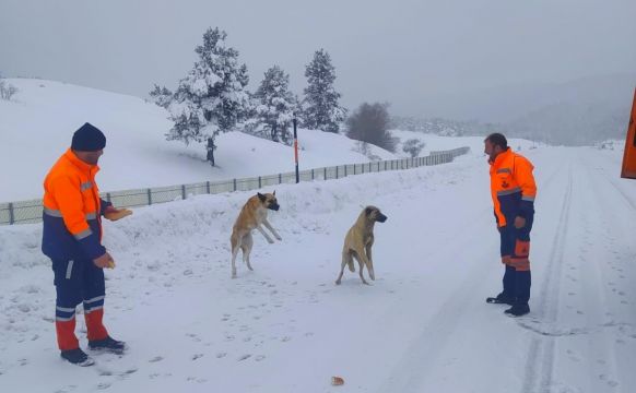 Hem kar temizliyorlar hemde hayvanları besliyorlar
