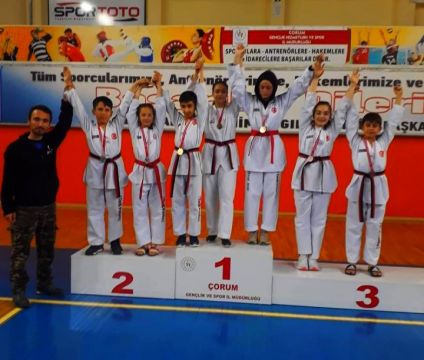 Osmancıklı Taekwondocular 7 madalya aldı
