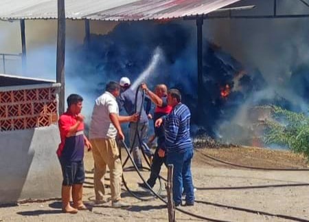 Osmancık’ta yangın paniği