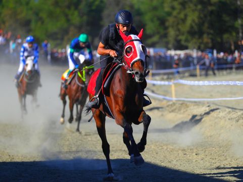 Osmancık Pirinç Festivalinde atlar kıyasıya yarıştı